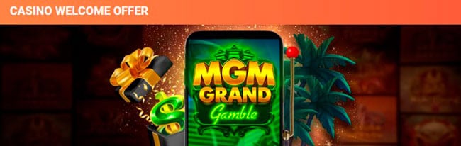 Leo Vegas Casino Welcome Offer